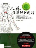 人体经筋解剖图谱 图解学习人体经筋解剖及筋结点