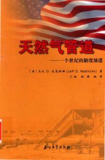天然气管道 一个世纪的制度演进