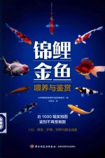 锦鲤金鱼 喂养与鉴赏