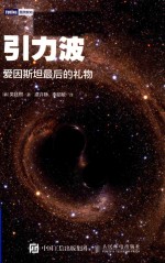引力波 爱因斯坦最后的礼物