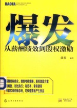 爆发 从薪酬绩效到股权激励