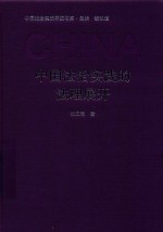 中国法治实践的法理展开