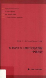 权利救济与人格权的宪法保障 中德比较