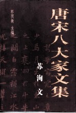 苏洵文