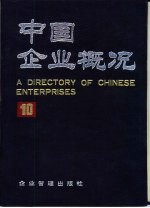 中国企业概况 10