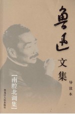 鲁迅文集 第13卷 南腔北调集