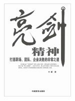 亮剑实战