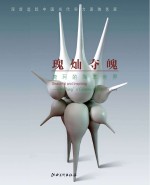 瑰灿夺魄 唐珂的陶艺世界