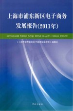上海市浦东新区电子商务发展报告 2011年