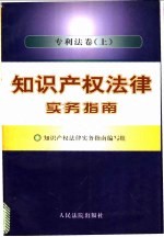 知识产权法律实务指南 专利法卷 下
