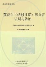 莲花白(结球甘蓝)病虫害识别与防治