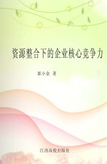 资源整合下的企业核心竞争力