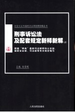 刑事诉讼法及配套规定新解 下