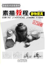 素描教程 静物提高