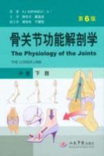 骨关节功能解剖学 中 下肢