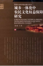 城乡一体化中农民文化权益保障研究