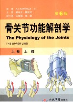 骨关节功能解剖学 上 上肢