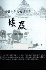 中国驻中东大使话中东 埃及
