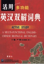 活用多功能英汉双解词典:最新版