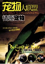 宠物大联盟 情趣宠物