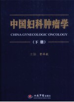 中国妇科肿瘤学 下