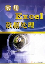 实用Excel数据处理
