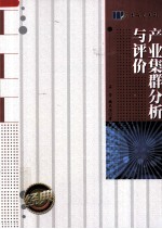 产业集群分析与评价