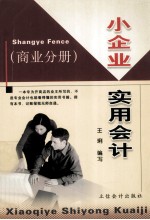 小企业实用会计 商业分册