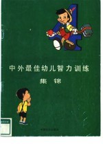 中外最佳幼儿智力训练集锦