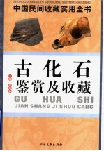 中国民间收藏实用全书 古化石鉴赏及收藏