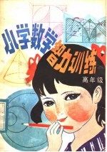 小学数学智力训练 高年级
