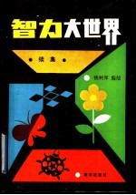智力大世界 续集