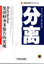 分离 集团财务多报告的实现