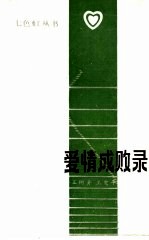 爱情成败录