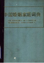 中国婚姻家庭词典
