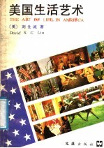 美国生活艺术
