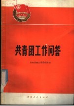 共青团工作问答