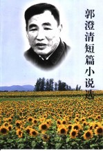 郭澄清短篇小说选