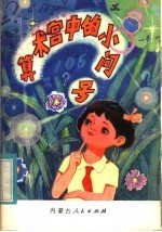 算术宫中的小问号