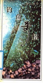 钓鱼奇招 效率手册