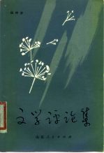文学评论集
