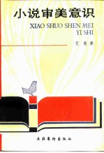 小说审美意识