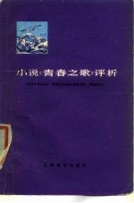小说《青春之歌》评析