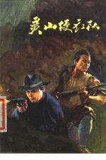 灵山便衣队 革命回忆录