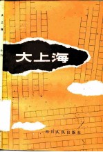 大上海