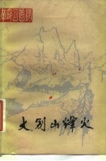 大别山烽火 革命回忆录