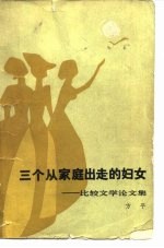 三个从家庭出走的妇女 比较文学论文集