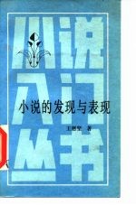 小说的发现与表现