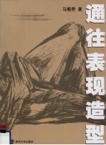 通往表现造型