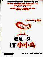 我是一只IT小小鸟